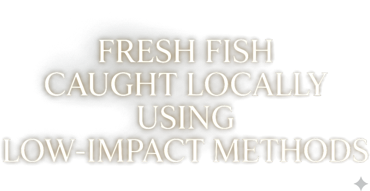 Fresh fish caught locally, using low impact methods, landed daily